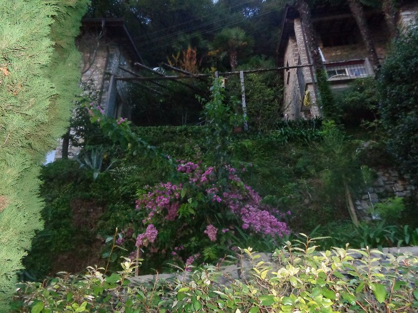 Casa7