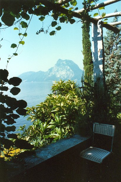 Garten40