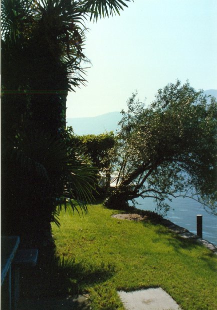 Garten49