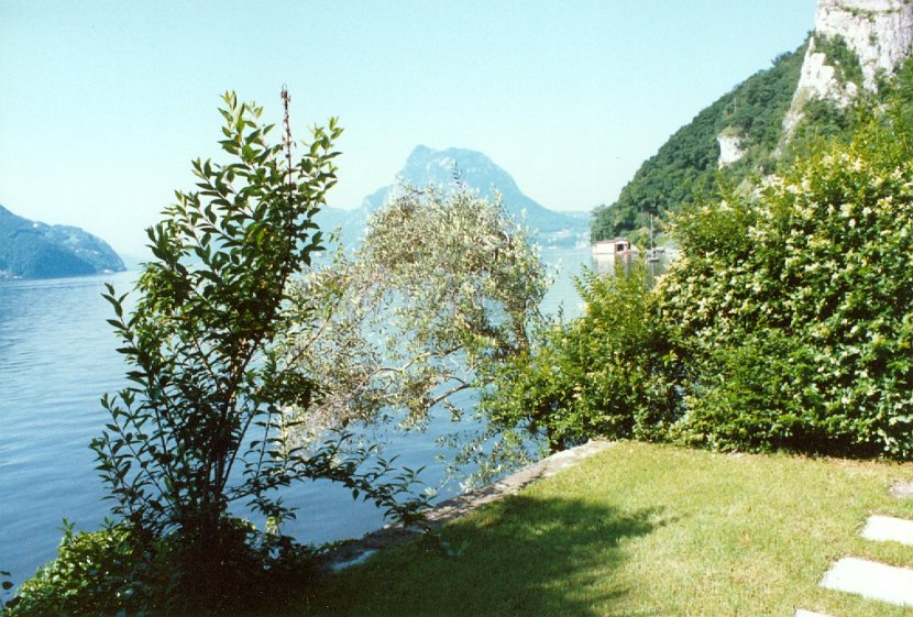 Garten55