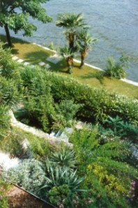 Garten61_s