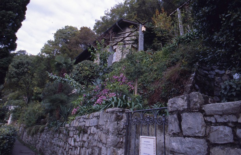 Garten9