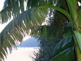 Garten11