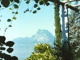 Garten40