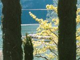 Garten43