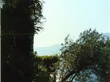 Garten49