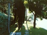Garten50