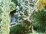 Garten51