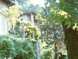Garten54