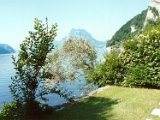 Garten55