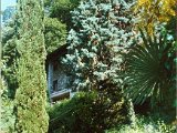 Garten58