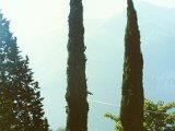 Garten64