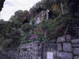 Garten9